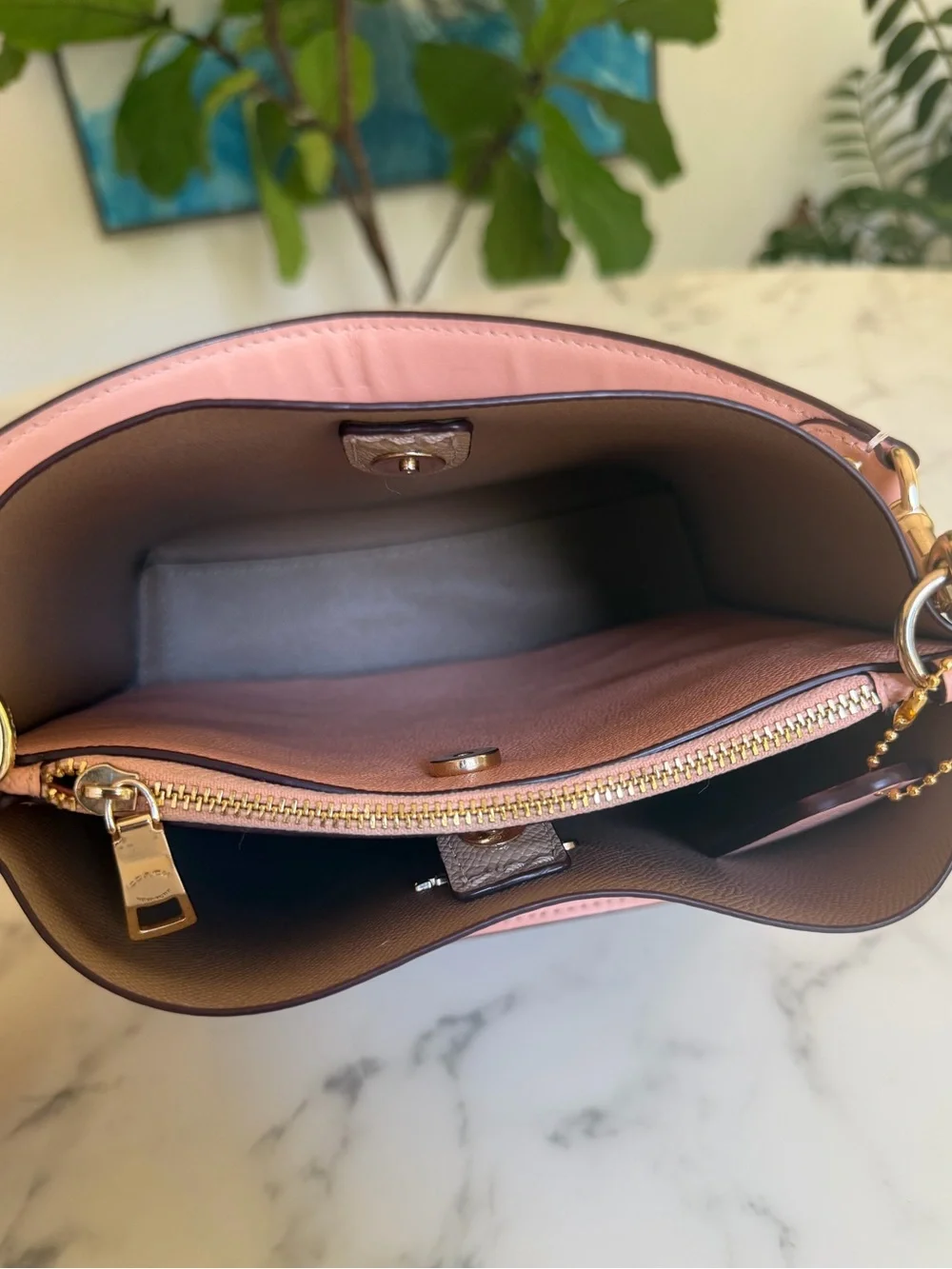 Coach Mollie Bucket Bag 22 In Signature Canvas With Strawberry Print CB602